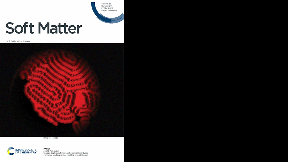 Soft Matter journal cover graphic: red glowing maze-like circle on black