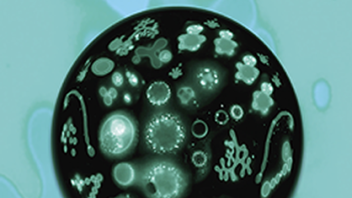 langmuir