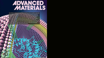 Sanborn_Advanced Materials