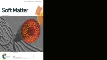 Sengkoon_softMatter