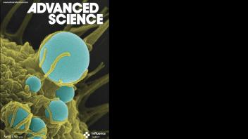 Endocytosis